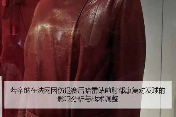ruo-xin-na-zai-fa-wang-yin-shang-tui-sai-hou-ha-lei-zhan-qian-zhou-bu-kang-fu-dui-fa-qiu-de-ying-xiang-fen-xi-yu-zhan-2-429.jpg